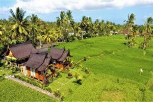 Bali guesthouse budget rice terrace view — ₹1000 accommodation travel guide