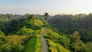 Campuhan Ridge Walk Ubud Bali free — dawn photography budget tip 2026