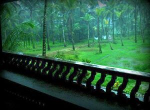 Kerala October November lush green — best time to visit travel tips 2026