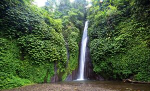 Sekumpul Waterfall Bali — budget experience split cost group guide 2026