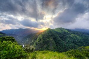 Silent Valley Kerala primary rainforest — most undisturbed hidden wilderness 2026
