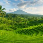 Bali travel guide 2026 — 10 amazing places rice terraces temples aerial view
