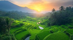 Ubud rice terraces jungle morning Bali — cultural heart travel guide 2026