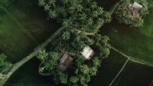 Kerala geographic diversity — mountains backwaters beaches in one budget trip 2026