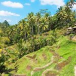 Bali budget trip from India 2026 — rice terraces warung affordable travel guide