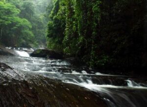 Palaruvi waterfall Kerala hidden cascade — stream of milk secret forest gem 2026