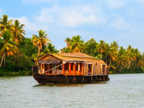 Kerala travel guide 2026 — 8 beautiful destinations backwaters houseboat aerial
