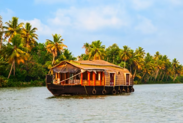 Kerala travel guide 2026 — 8 beautiful destinations backwaters houseboat aerial