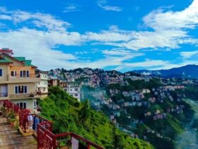 shimla ridge town backpacker budget