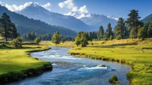 aru-valley-pahalgam-kashmir-hidden-gem.jpg