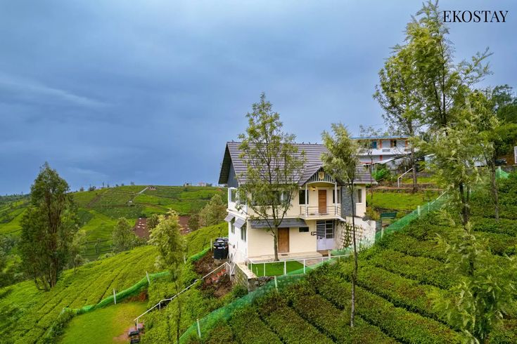 Misty Valley Homestay