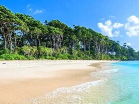 andaman beach turquoise wild empty