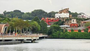 Sentosa beach palm trees