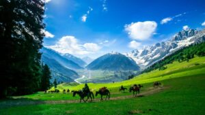 Pahalgam Valley