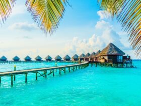 maldives local island beach turquoise