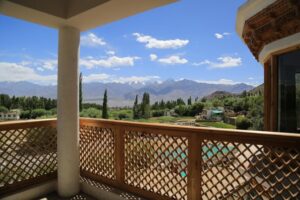leh guesthouse rooftop mountains