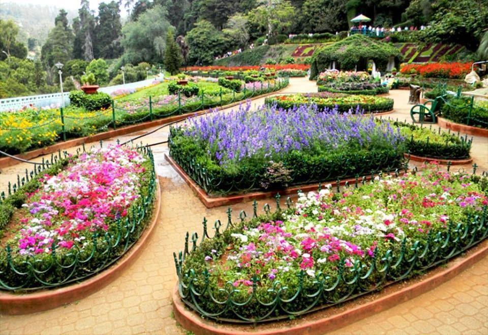ooty botanical garden nilgiri
