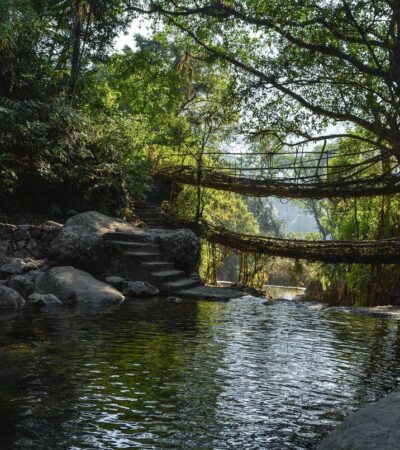 meghalaya living root bridge double decker