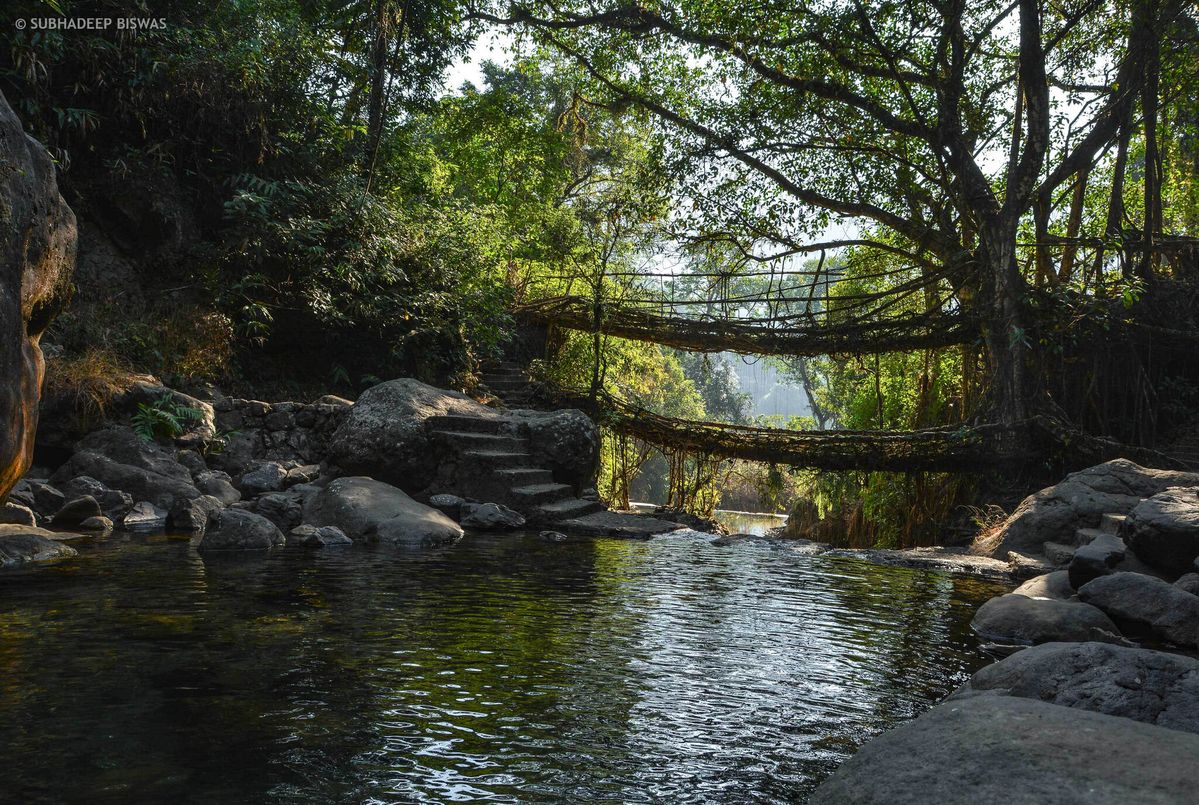 meghalaya living root bridge double decker