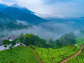 ooty hills misty