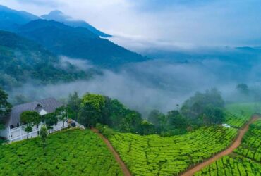 ooty hills misty