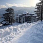 shimla ridge snow himalaya