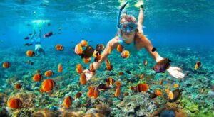 Snorkeling over colorful coral reef at Ko Lipe, Thailand's hidden island paradise