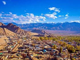 Hero: Leh City with Palace and Mountains